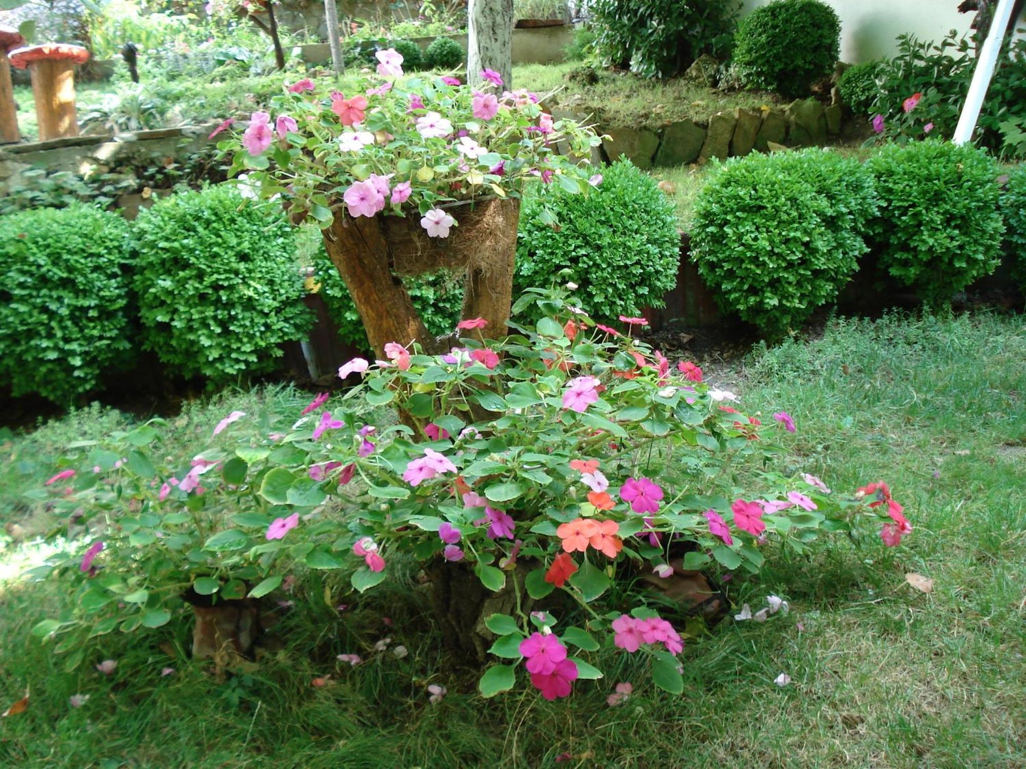 Villa Exotica Balchik Exterior photo