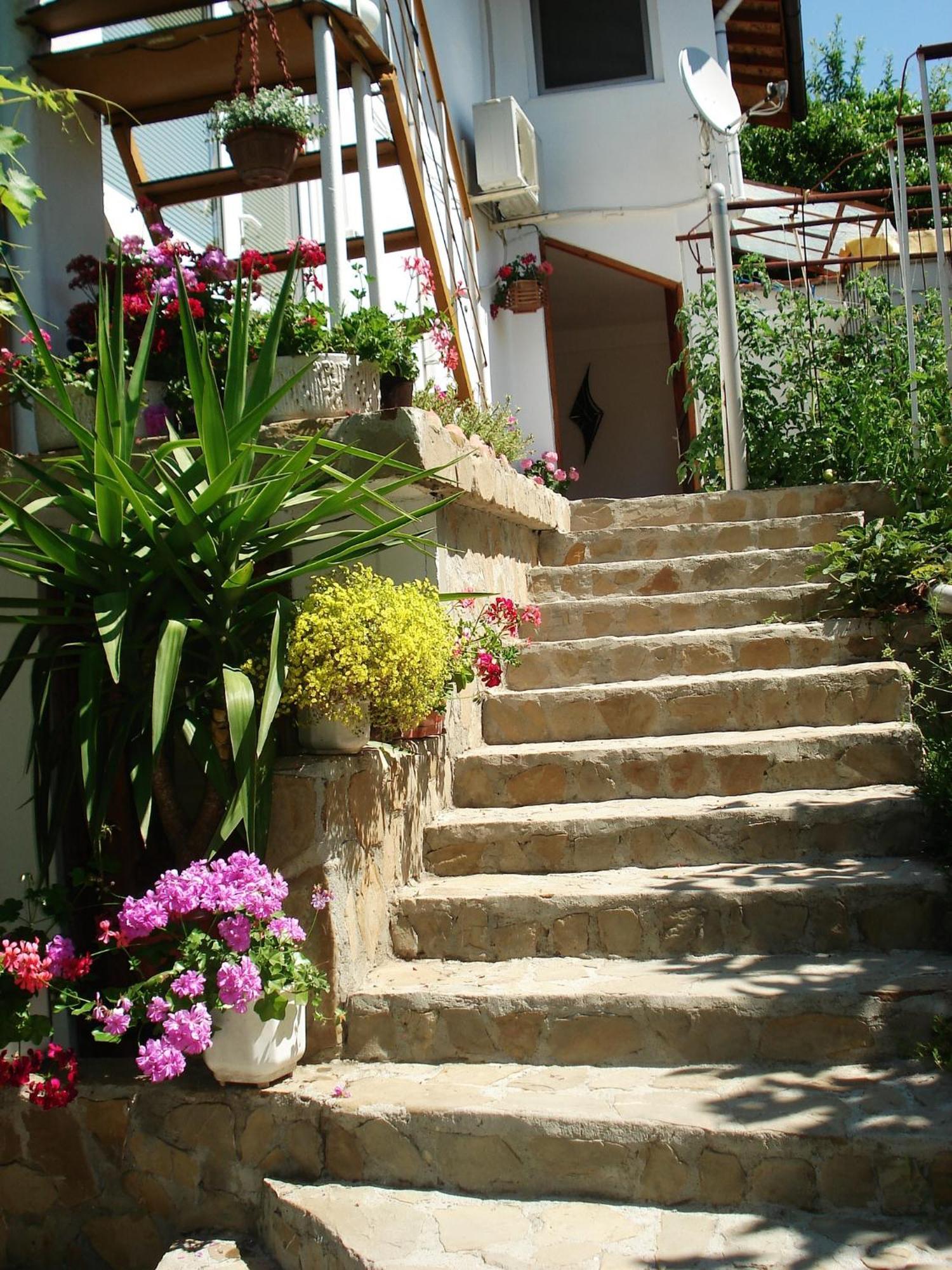 Villa Exotica Balchik Exterior photo